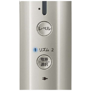 [Panasonic] RF beauty device EH-SR73 - CROSS SHELF JP